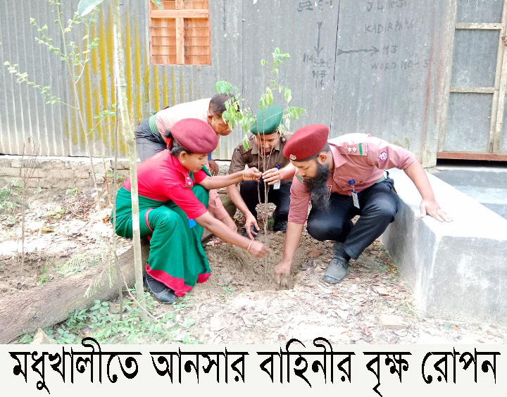 মধুখালীতে আনসার বাহিনীর উদ্যাগে বৃক্ষরোপণ।