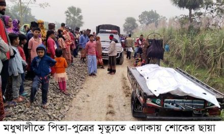 মধুখালীতে স্ত্রীরীর পরকিয়ায় বাবা-ছেলের আত্মহত্যা।