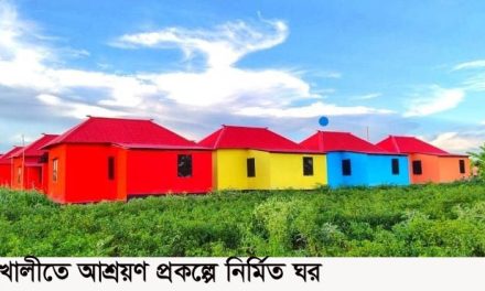 মধুখালীতে প্রধানমন্ত্রীর উপহারের ঘর পেলেন ২৩০টি পরিবার